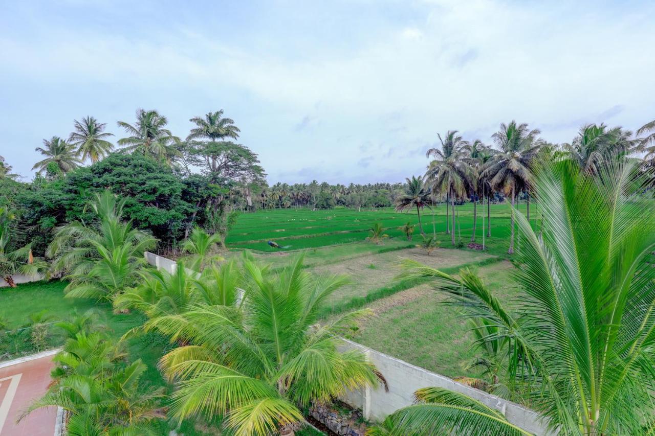 Brindavan Garden Resort & Spa Krishnarajasagara Zewnętrze zdjęcie